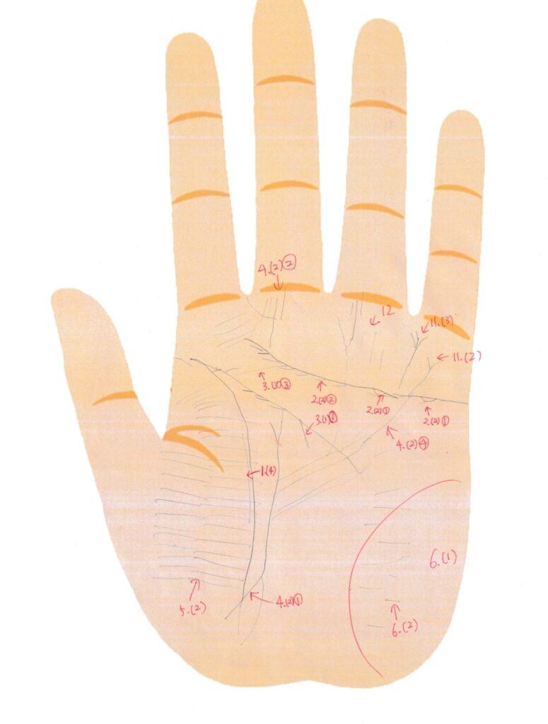 実際の鑑定に使用した手相書き込みシート33(左手)の画像