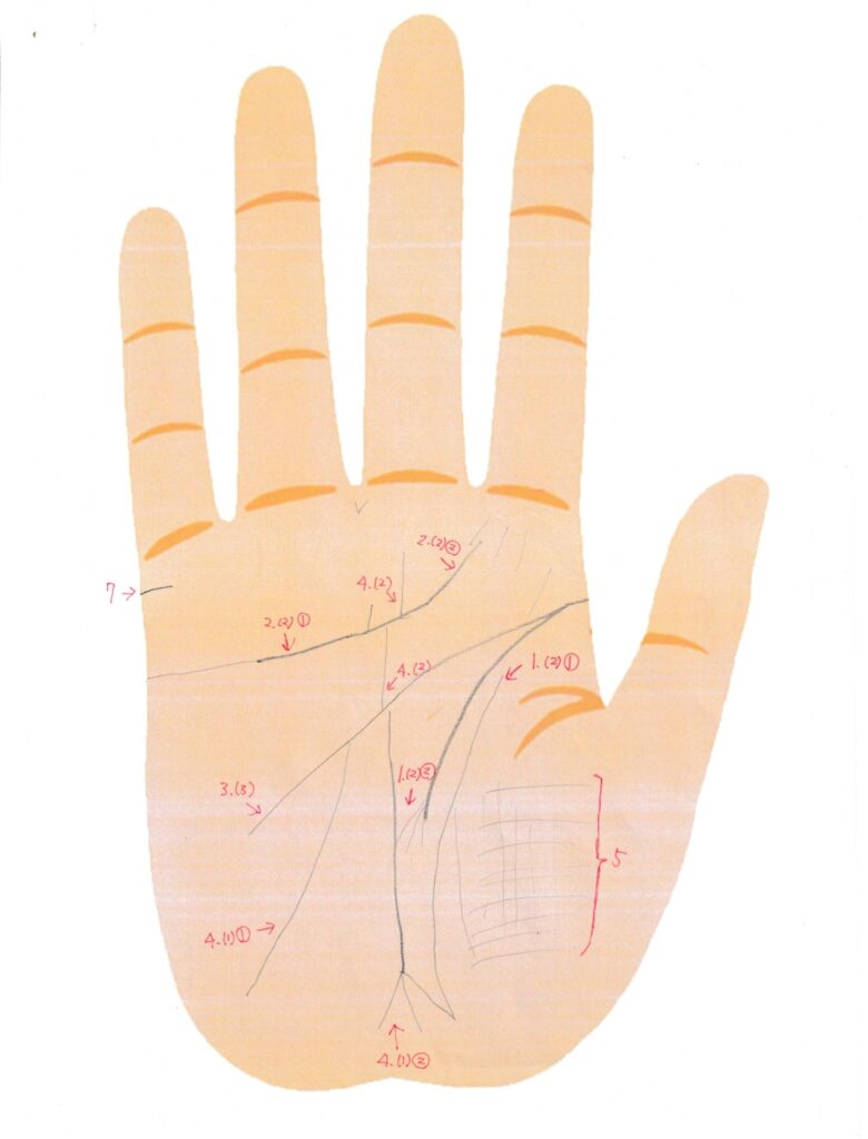 実際の鑑定に使用した手相書き込みシート24(右手)の画像