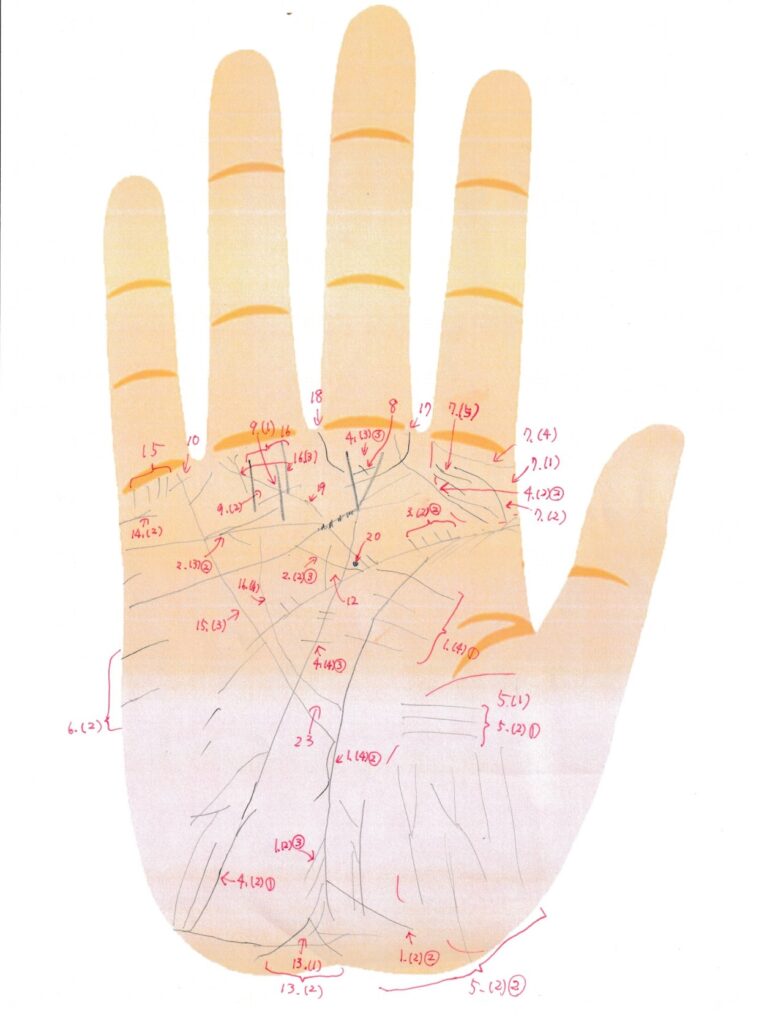 実際の鑑定に使用した手相書き込みシート30(右手)の画像
