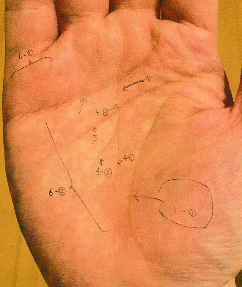 実際の鑑定に使用した手相書き込みシート39(右手)の画像