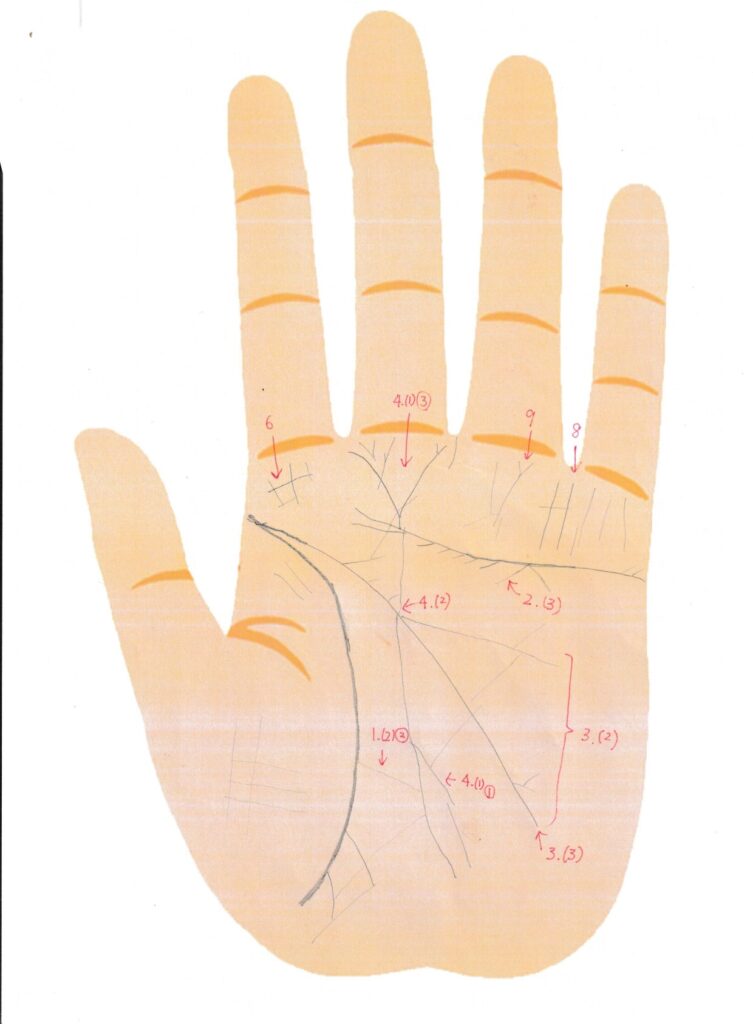 実際の鑑定に使用した手相書き込みシート24(左手)の画像