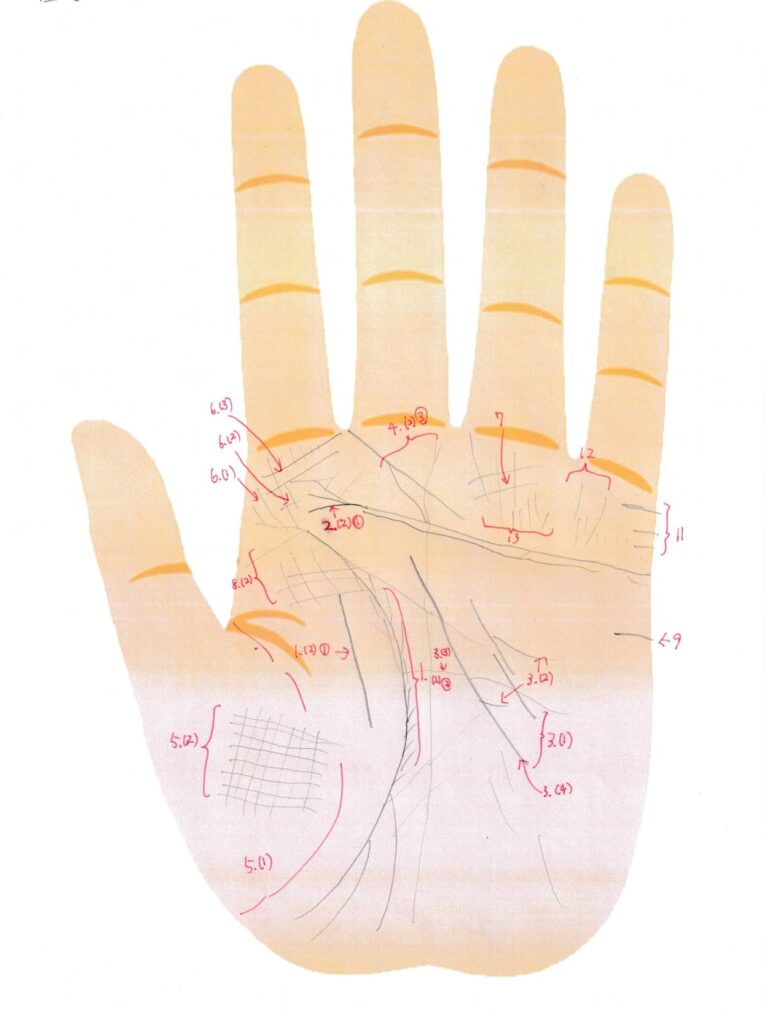 実際の鑑定に使用した手相書き込みシート25(左手)の画像