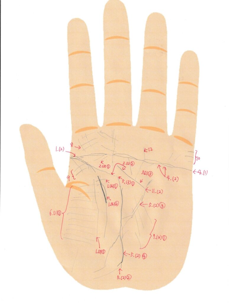 実際の鑑定に使用した手相書き込みシート26(左手)の画像
