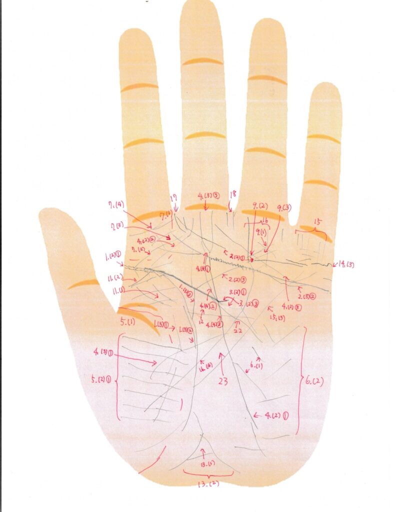 実際の鑑定に使用した手相書き込みシート30(左手)の画像