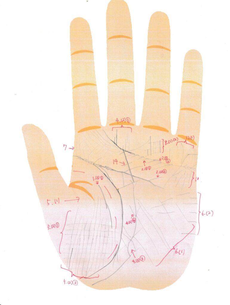 実際の鑑定に使用した手相書き込みシート36(左手)の画像