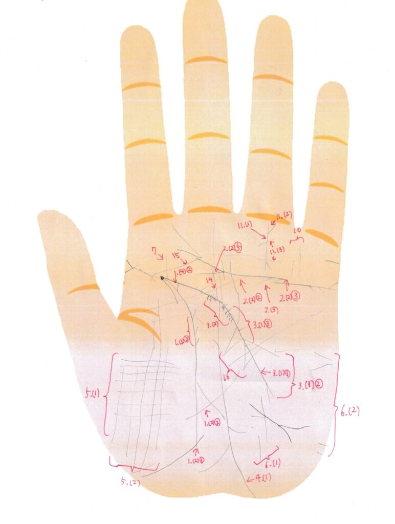実際の鑑定に使用した手相書き込みシート32(左手)の画像