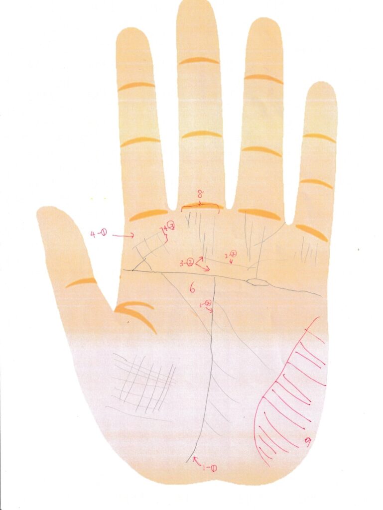 実際の鑑定に使用した手相書き込みシート38(左手)の画像