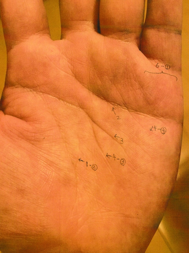 実際の鑑定に使用した手相書き込みシート39(左手)の画像