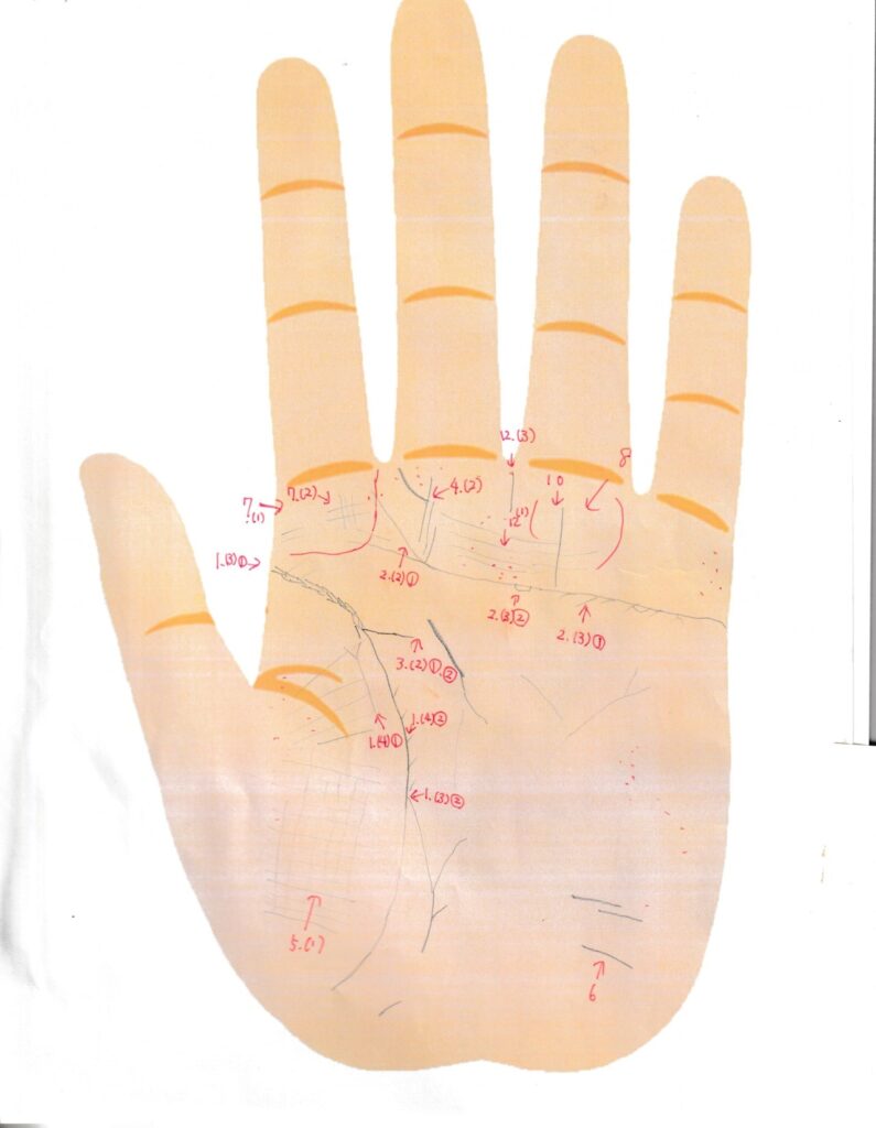 実際の鑑定に使用した手相書き込みシート35(左手)の画像